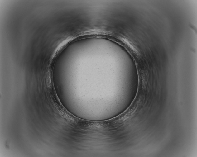 X0000096651358200802191233
