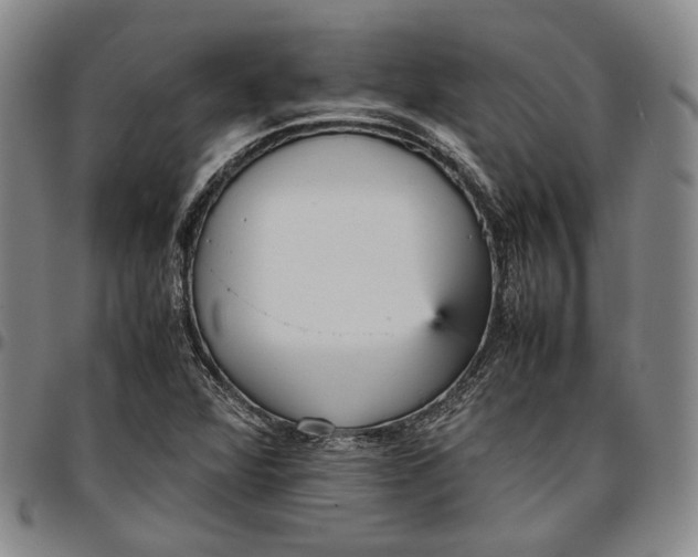 X0000096651360200802191233