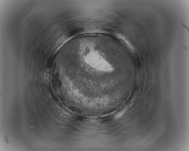 X0000096651361200802191233