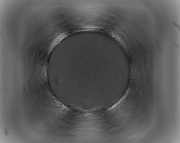 X0000096651362200802191233