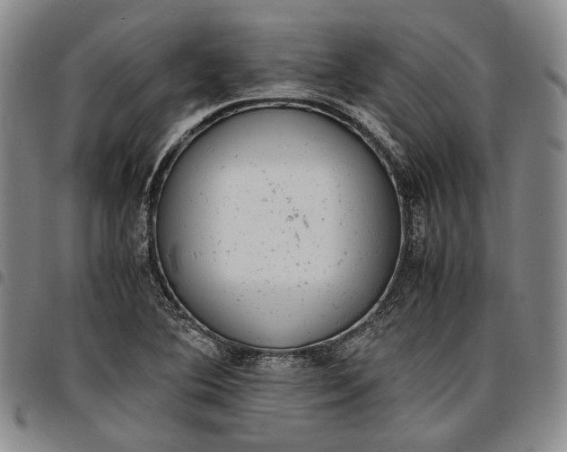 X0000096651364200802191233