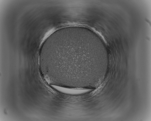 X0000096651365200802191233
