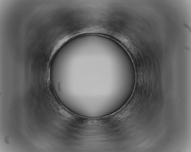X0000096651366200802191233