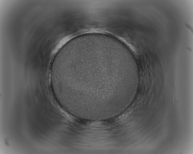 X0000096651367200802191233