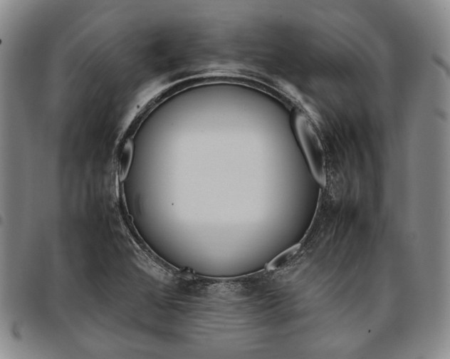 X0000096651368200802191233