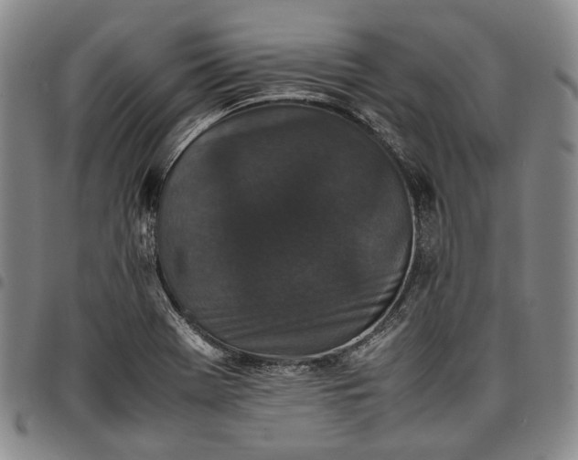 X0000096651369200802191233