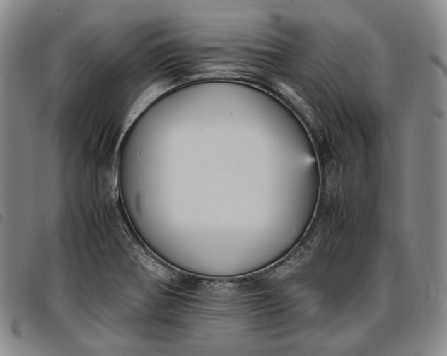 X0000096651370200802191233