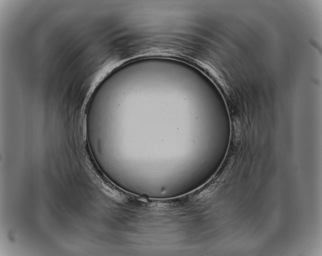 X0000096651371200802191233