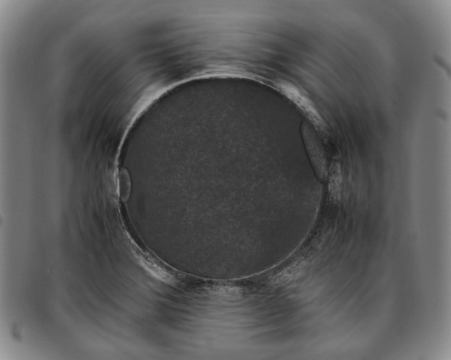 X0000096651372200802191232