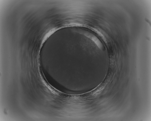 X0000096651373200802191232