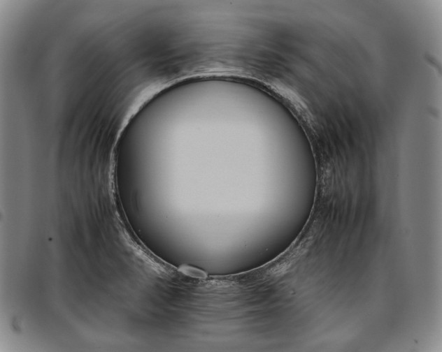 X0000096651374200802191232