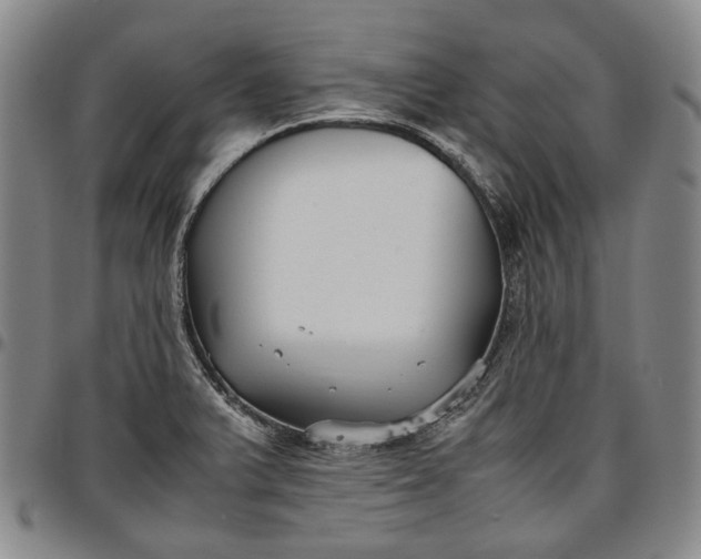 X0000096651375200802191232