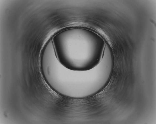 X0000096651376200802191232