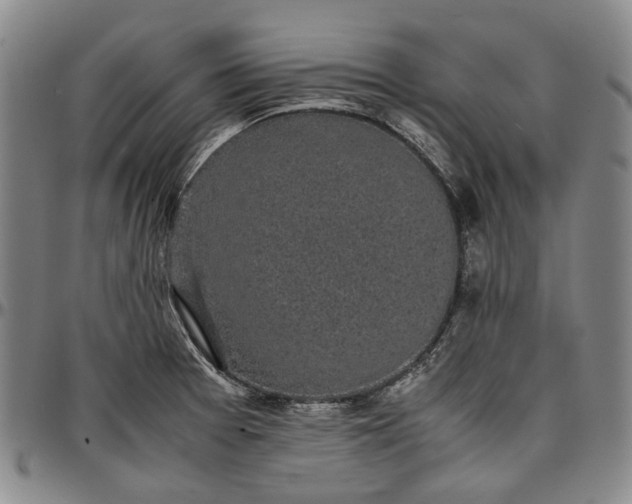 X0000096651377200802191232