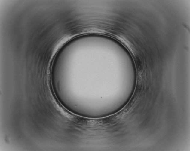 X0000096651379200802191232