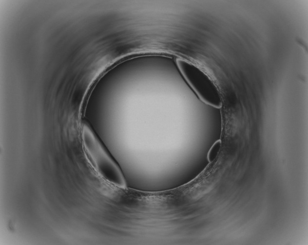 X0000096651380200802191232