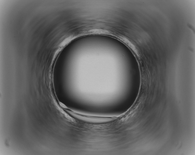 X0000096651381200802191232