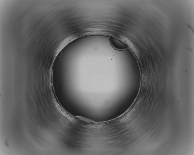 X0000096651386200802191232