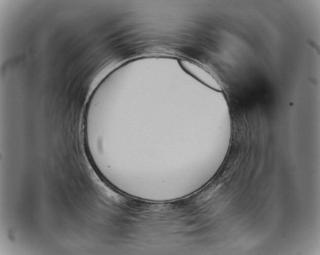 X0000096651387200802191232