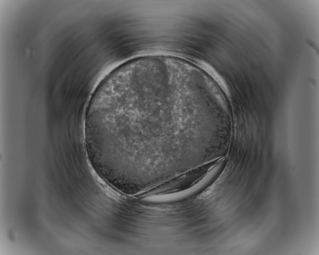 X0000096651388200802191232