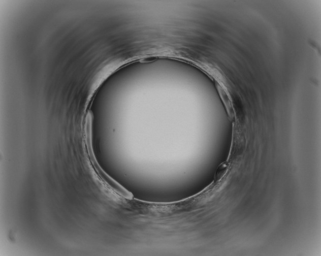 X0000096651389200802191232