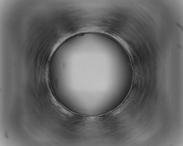 X0000096651390200802191232