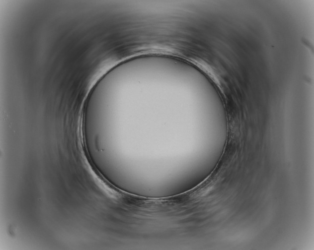X0000096651391200802191232