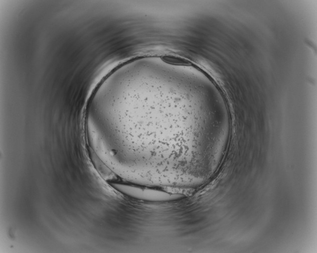 X0000096651392200802191232