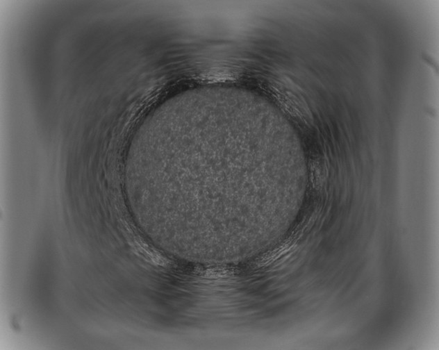 X0000096651393200802191232