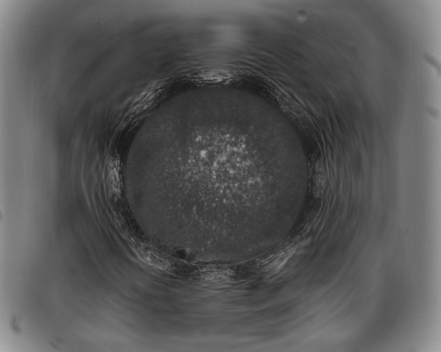 X0000096651394200802191232