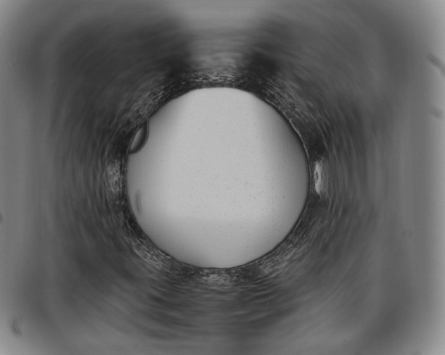 X0000096651395200802191232