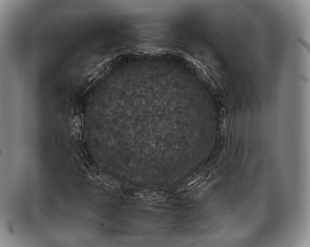 X0000096651397200802191232