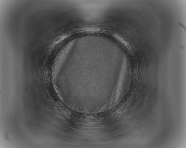 X0000096651398200802191232