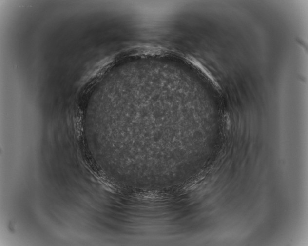 X0000096651399200802191232