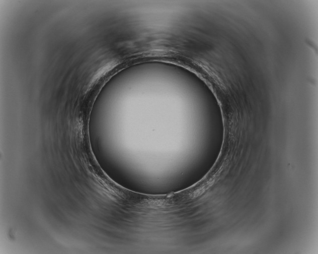 X0000096651402200802191232