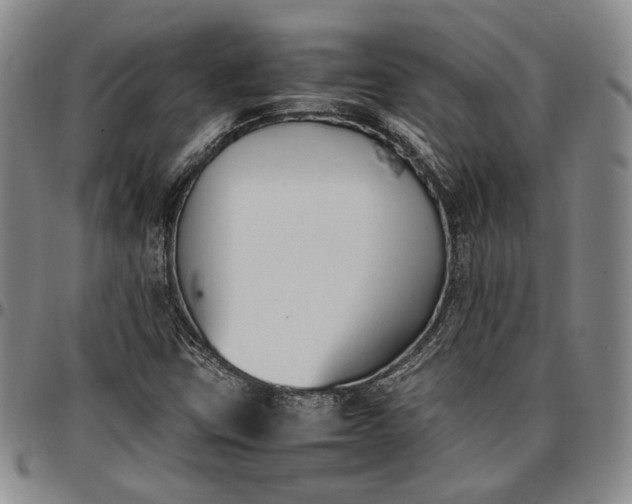 X0000096651403200802191232