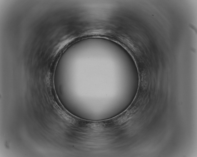 X0000096651404200802191232