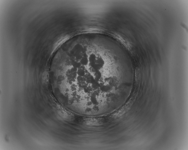 X0000096651405200802191232