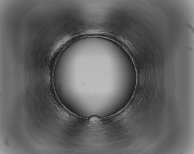 X0000096651406200802191232