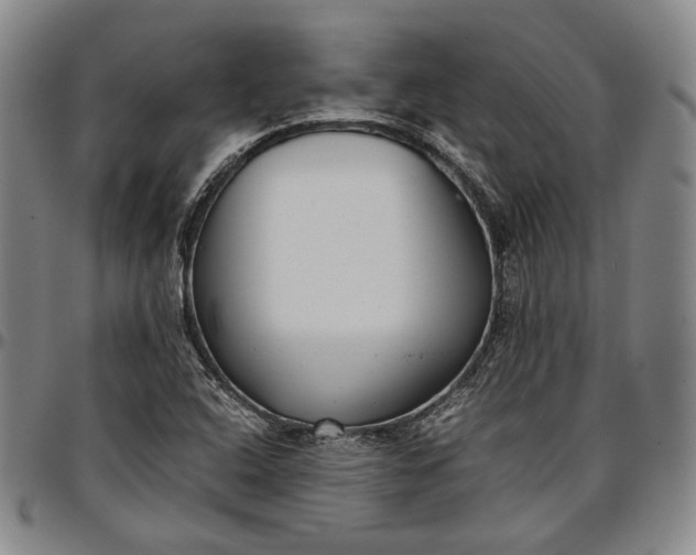 X0000096651408200802191232