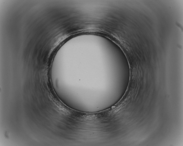 X0000096651410200802191232
