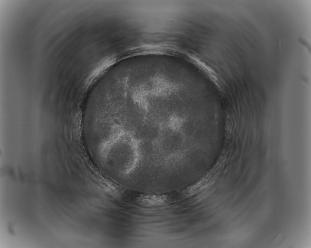 X0000096651411200802191232