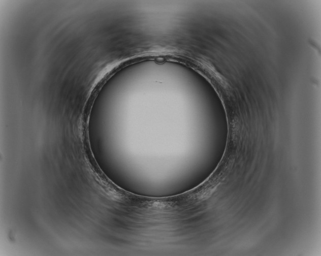 X0000096651412200802191232