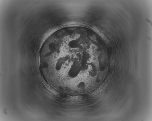 X0000096651413200802191232