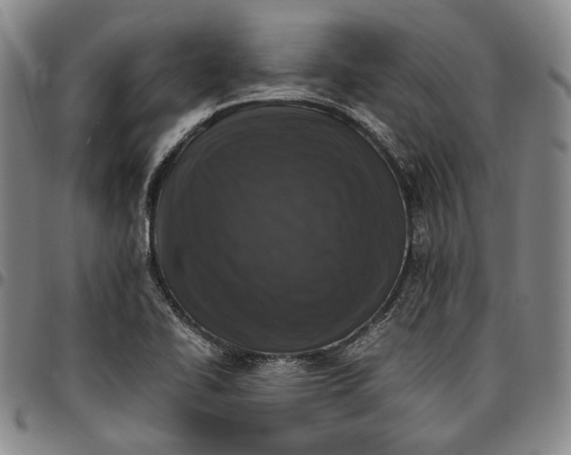 X0000096651414200802191232