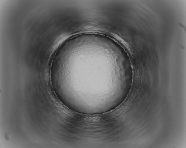X0000096651415200802191232