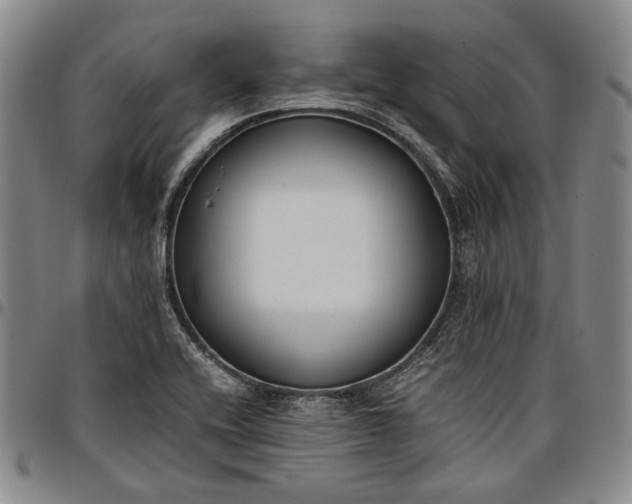 X0000096651416200802191232