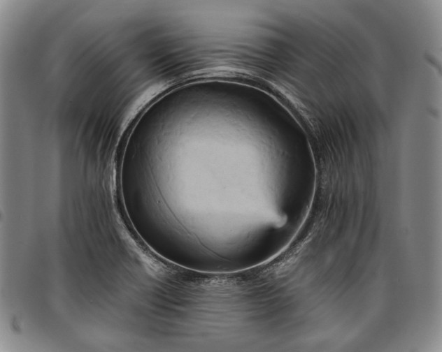 X0000096651418200802191232