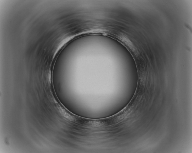 X0000096651420200802191232