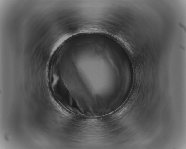 X0000096651422200802191232